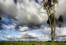 八强 里奥梅西 迪米特洛夫“丽马”超详细“出行指南”来了.