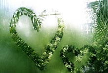 征途国际:德雷森谈诺伊尔伤病:有轻微并发症,但他的伤势在掌控范围内.