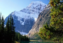 浓眉谈欧文受伤：那是毁灭性的 他已准备好迎接康复挑战.