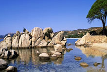 凯恩对阵19支德甲球队均破门，联赛历史仅次于克洛泽28队通杀.